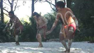 Australian Aboriginal Crane Dance [upl. by Elleirbag388]