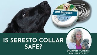 The Truth About Flea Control and Seresto Collars  A MustKnow Guide for Pet Owners [upl. by Akinirt]