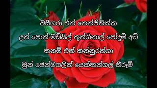 Vaseegara song lyrics in sinhala වසීගරාfull song [upl. by Eugene691]