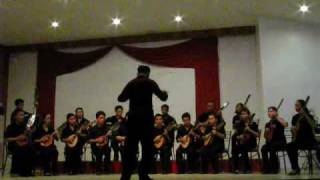 Serenata a la Mesquitaplayed by the Dipolog Community Rondalla [upl. by Sacul]