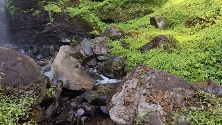 Beautifull River water sound with bird Chirping for Meditation to relieve stress amp fall sleep [upl. by Jayson]