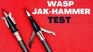 WASP JAKHAMMER Broadhead Test [upl. by Drofnelg371]