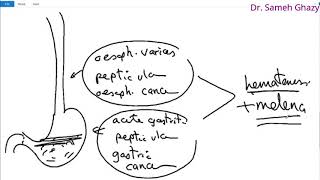 Systemic pathology 40  GIT 9  GIT ulcers and bleeding  DRSAMEH GHAZY [upl. by Eidoj461]