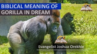 Biblical Meaning of GORILLA in Dream  Evangelist Joshua Orekhie [upl. by Usanis]