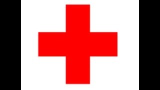 British Red Cross CEO Earns £600000 A Year Truth About Charities [upl. by Ewart]