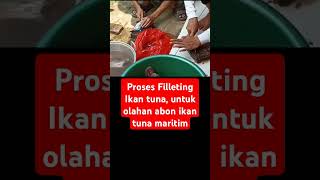 Proses filleting ikan tuna cooking foodie food seafood masakmasak recipe cooking shorts [upl. by Atirahs]