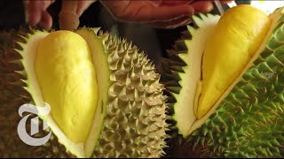 Durian  The Worlds Smelliest Fruit  The New York Times [upl. by Jolyn845]