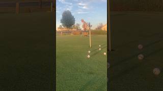 November 7 2024– Here comes the putter throw golf titleistgolf golfswing [upl. by Gnas]