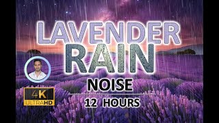 Soothing Lavender Rain Noise  12 Hours BLACK SCREEN  Study Sleep Tinnitus Relief and Focus [upl. by Hardej]