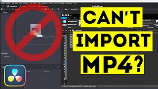 Why Cant You Import MP4 in Davinci Resolve  Easy Fix [upl. by Enaitsirhc]