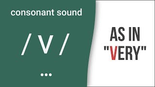 Consonant Sound  v  as in quotveryquot – American English Pronunciation [upl. by Reffotsirhc343]