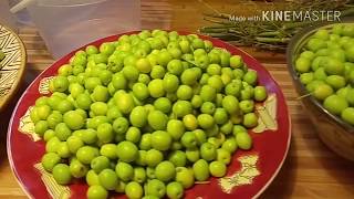 PROGRAMA 45 ACEITUNAS ALIÑADASDRESSED OLIVES [upl. by Aineles776]