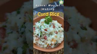 The Correct Way to Make Curd Rice South Indian Comfort Food l Traditional Method l Travel food [upl. by Oisorbma606]