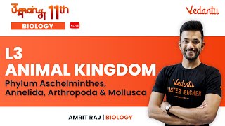 Animal Kingdom L3Phylum Aschelminthes Annelida Arthropoda amp MolluscaUmang11  Amrit SirVedantu [upl. by Bannasch]