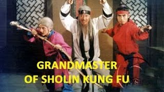 Wu Tang Collection  Grandmaster of Shaolin Kung Fu [upl. by Bender]