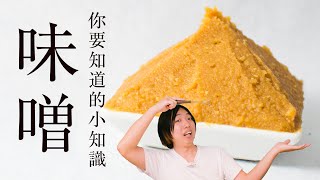 日本的味噌的種類、保存方法｜失去風味的味噌能做什麼料理？完全解析🇯🇵  日本男子的家庭料理 TASTY NOTE [upl. by Atiuqihs79]