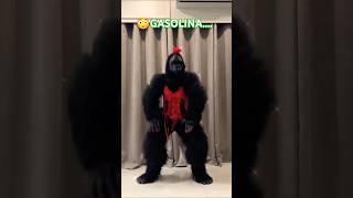 👹Gasolina dancefunny comedy ytshorts trending [upl. by Ahsinac]