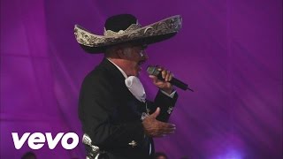 Vicente Fernández  El Rey En Vivo [upl. by Avera]