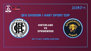 Hinterland vs Springwood Mens Div 1 AFL Rd 13 13th July [upl. by Codding]