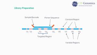 What Is 16s rRNA sequencing [upl. by Fem]