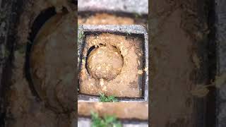 Effective Natural Remedies for Clogged Drains [upl. by Yert751]