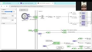 lets to learn about quotHow to Use Kegg for Bioinformaticsquot kelompok 2B bioinformatika [upl. by Desi]