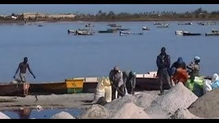 Sous le soleil du Sénégal [upl. by Ocimad]