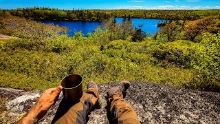 Hiking Trails And Found A BEAR While Searching For Camping Locations [upl. by Gen]