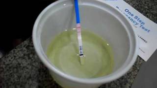 PREGNANCY TEST  PREGNANT TESTE DE GRAVIDEZ POSITIVO [upl. by Lohrman120]