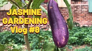 Jasmine Daily Gardening Life Vlog 8 [upl. by Enaud]