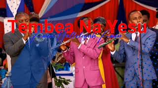 Tembea Na Yesu instrumental teensforchrist repentanceandholine jesusiscoming [upl. by Ewan298]