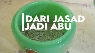 Melihat Proses Kremasi  Dari Jasad Jadi Abu [upl. by Kentiga]