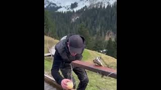 UN HOMME HEUREUX Eric Lefèbvre dans le Vallon de la Manche MorzineHaute SavoieFrance [upl. by Hoppe636]