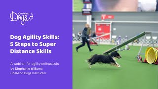 FREE Dog Agility Webinar 5 Steps to Super Distance Skills [upl. by Tybi]