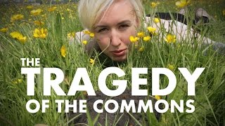 The Tragedy of the Commons  Shed Science [upl. by Htebazle]