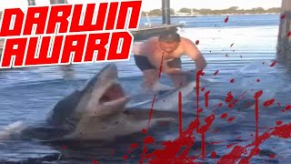 Shark Eats Idiot Who Tried To Save It [upl. by Illoh130]