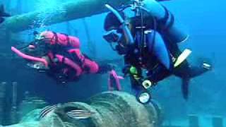 PADI Scuba Diving Lessons PADI Wreck Diver Course [upl. by Hesketh20]