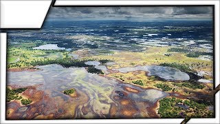 The Pantanal  The worlds largest swamp [upl. by Marlette597]