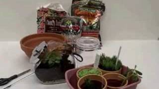 Terrariums for Kids [upl. by Austina]