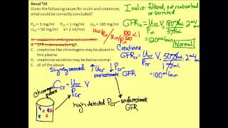 Renal Physiology Question 20 [upl. by Edora782]