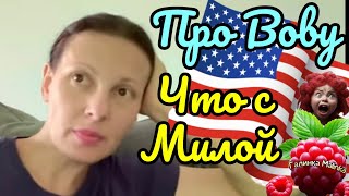 Big Big Family in the USA Про Вову  Что с Милой Обзор Жизнь в Америке США Vlog [upl. by Evot]