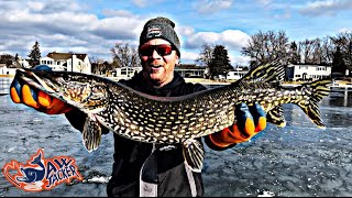 Ice Fishing for GIANT Pike  Michigan 2022 [upl. by Genet]