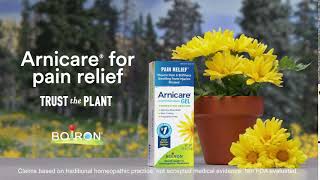 Arnicare and Mushrooms  Arnica for Sore Muscles amp Bruising [upl. by Hairu]