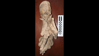 The Elongated Skulls Of Paracas Peru And Their DNA Update June 2019 [upl. by Nylde]