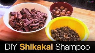 DIY Shikakai Shampoo Preparation  100 Natural Shampoo  Home Made Herbal Shampoo [upl. by Guimar]