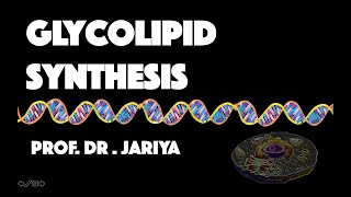 GLYCOLIPID SYNTHESIS [upl. by Ahsineb]