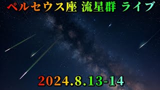 ペルセウス座流星群ライブ [upl. by Bryant]