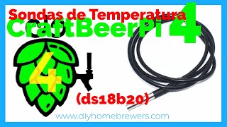 CraftBeerPi 4 Sondas de Temperatura DS18B20 [upl. by Lumbard]