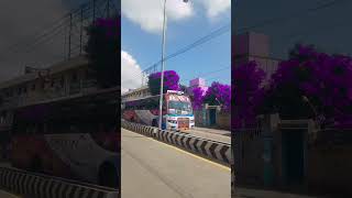 Thoothukudi Ravi bus Mass entry TN private Bus horn sound purple bus hornsound [upl. by Amaryl]