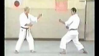 Wado Karate Techniques by Tatsuo Suzuki Sensei [upl. by Wawro]